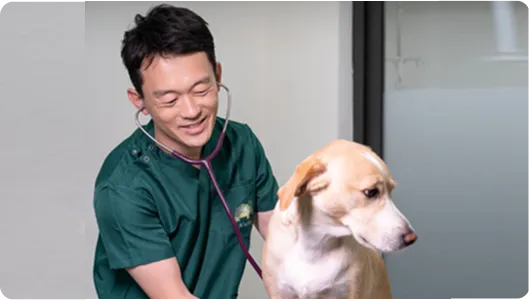 DCC動物病院からのメッセージ