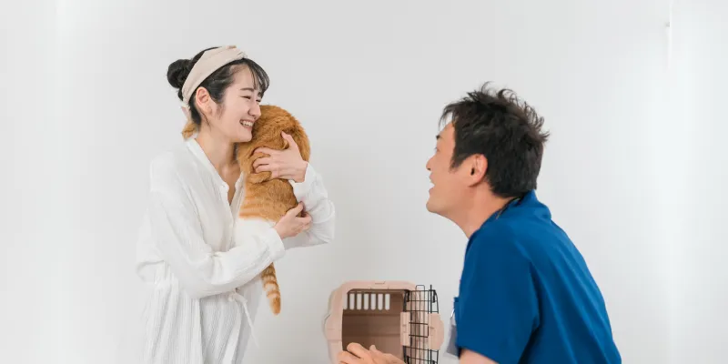 歯科イメージ