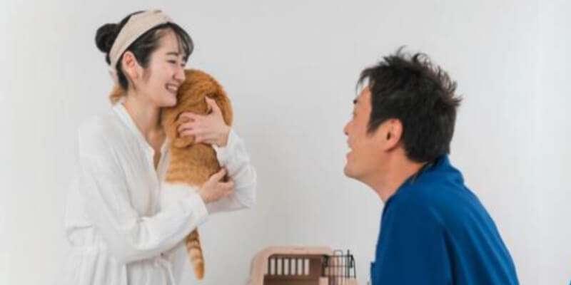歯科イメージ