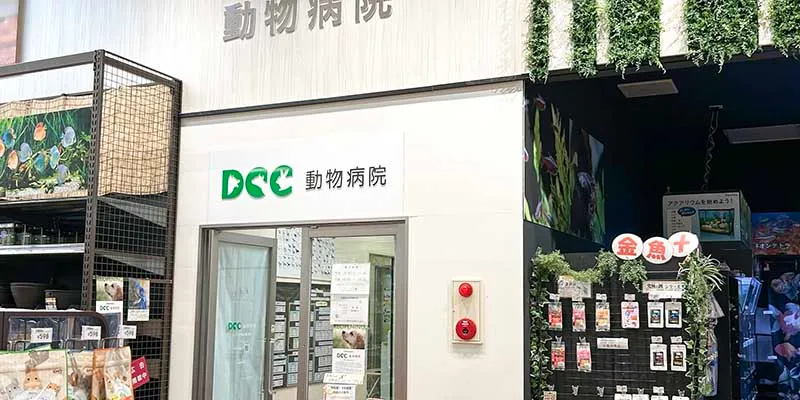 DCC動物病院カインズ名古屋堀田外観