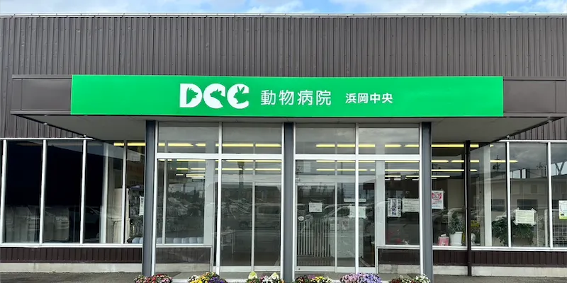 DCC動物病院浜岡中央外観